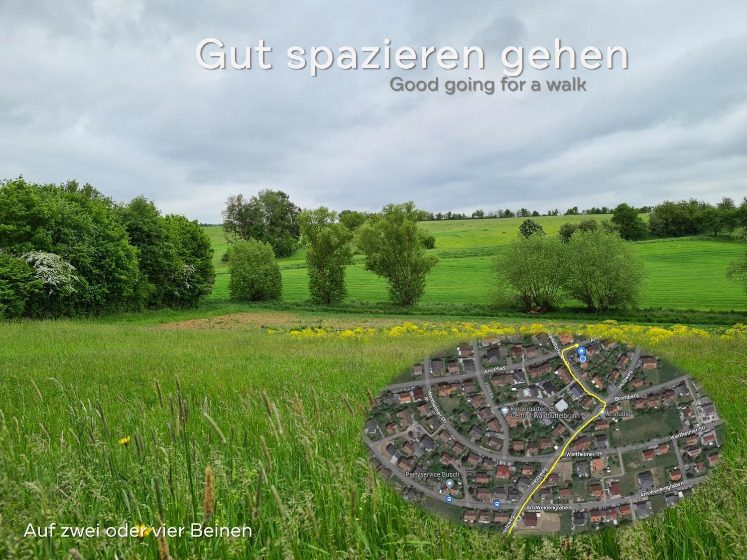 Lichtdurchflutetes Zimmer - Marienberg Waldbuttelbrunn Eksteriør billede